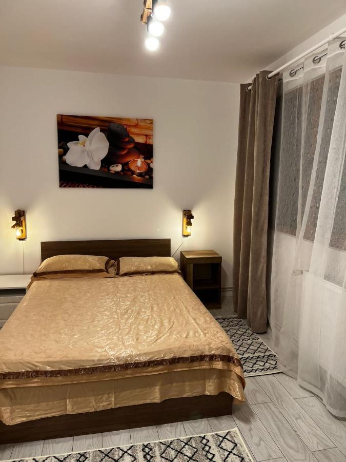 Apartament English Home 2 Camere ブラショフ エクステリア 写真