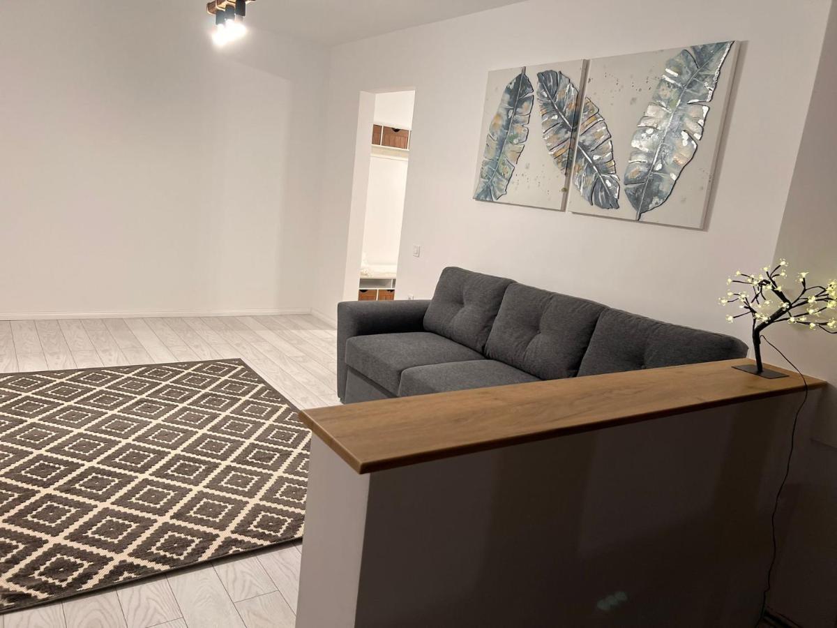 Apartament English Home 2 Camere ブラショフ エクステリア 写真